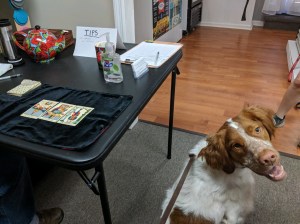 Dog having tarot card reading